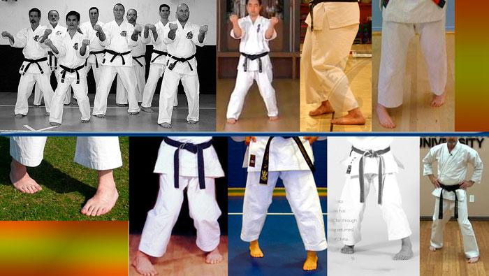 SANCHIN DACHI