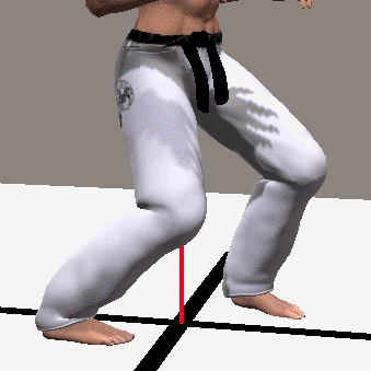 SANCHIN  DACHI