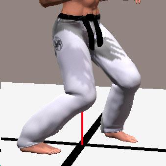 SANCHIN DACHI