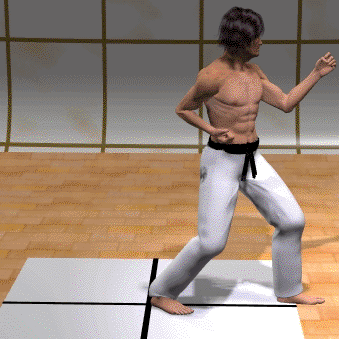GIROS EN KARATE