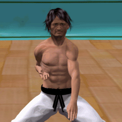 SHUTO GEDAN BARAI
