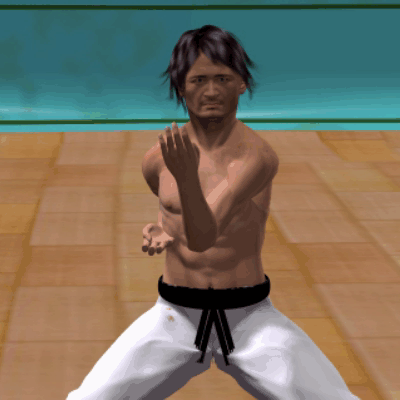 SHUTO SOTO UKE