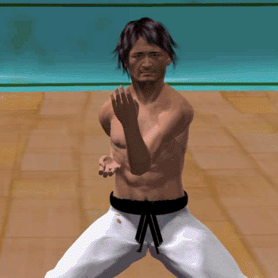 SHUTO SOTO UKE