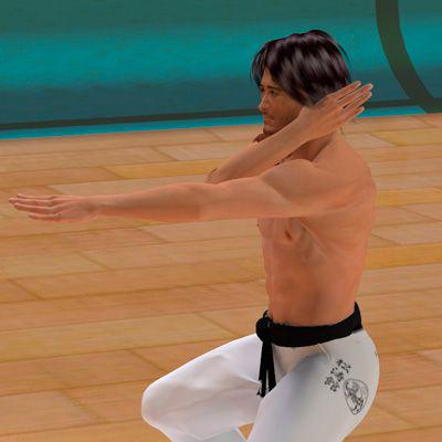 SHUTO UCHI UKE