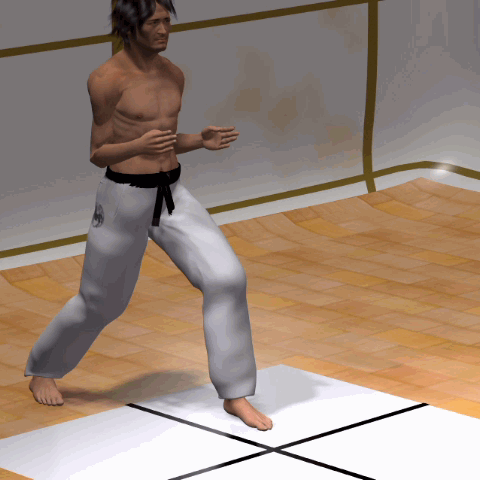 SURI KONDE MAWASHI GERI