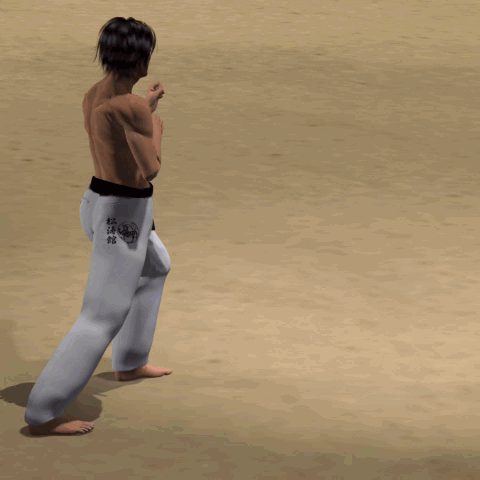 SURI KONDE MAWASHI GERI