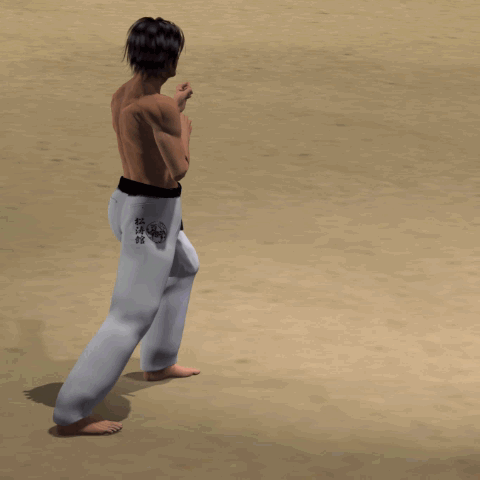 SURI KONDE MAWASHI GERI