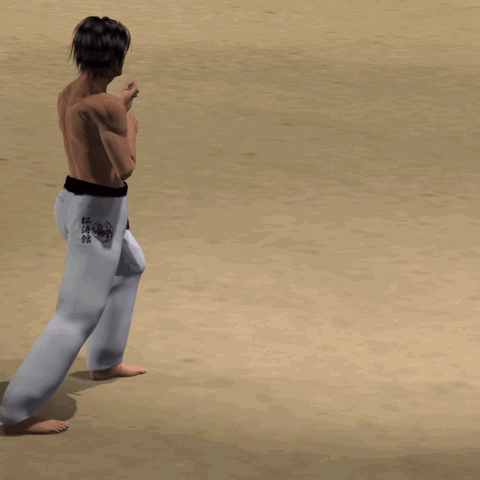 SURI KONDE MAWASHI GERI