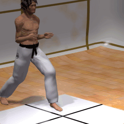 SURI KONDE MAWASHI GERI