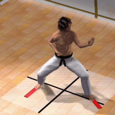 TATE SEISHAN DACHI
