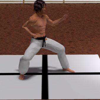TATE SEISHAN DACHI