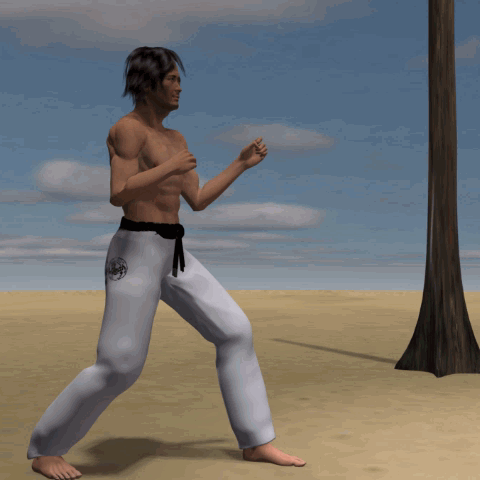 MAWASHI (USHIRO ASHI) TOBI GERI