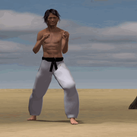 MAWASHI TOBI GERI