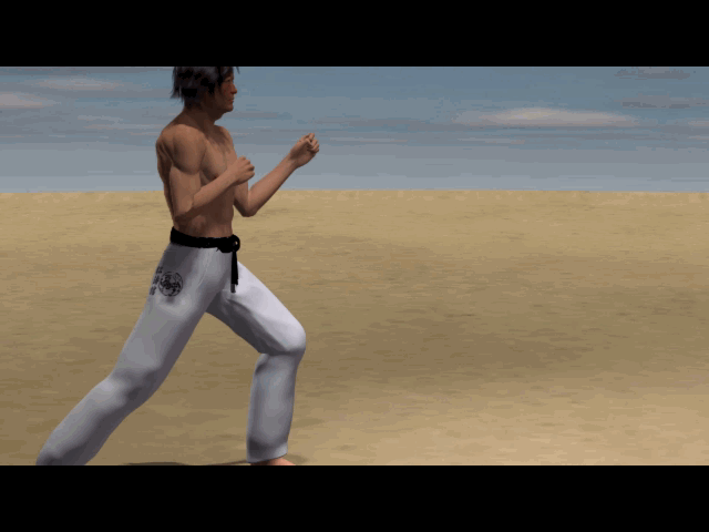  MAWASHI USHIRO ASHI TOBI GERI