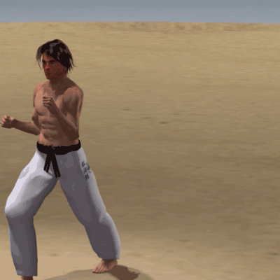 MAE ASHI USHIRO TOBI GERI