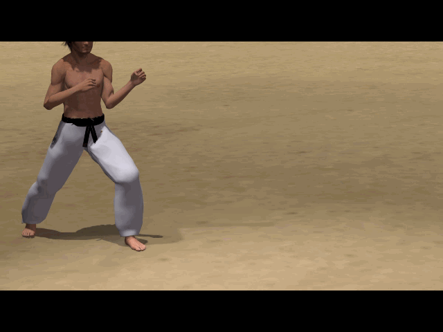 TOBI KONDE MAWASHI GERI