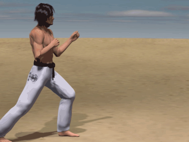 URA MAWASHI GERI