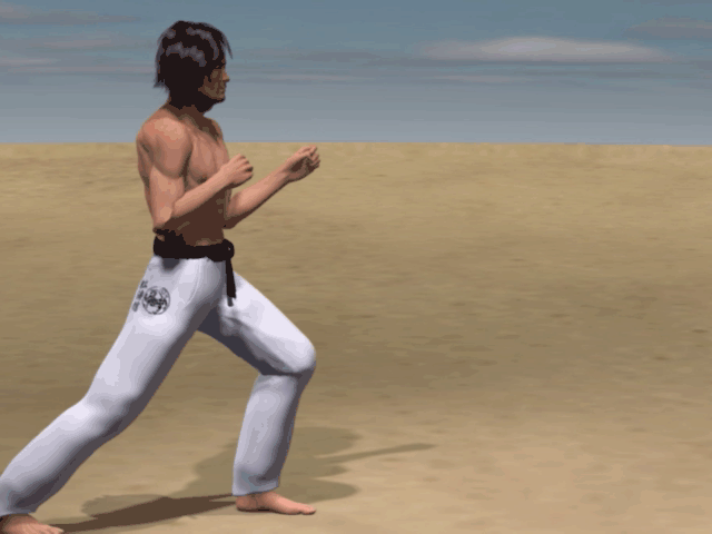 URA MAWASHI GERI