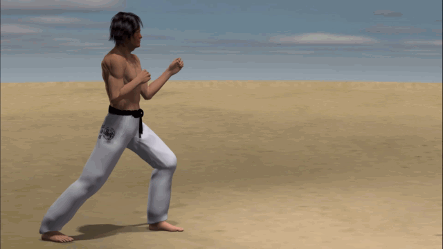 YOKO USHIRO ASHI TOBI GERI