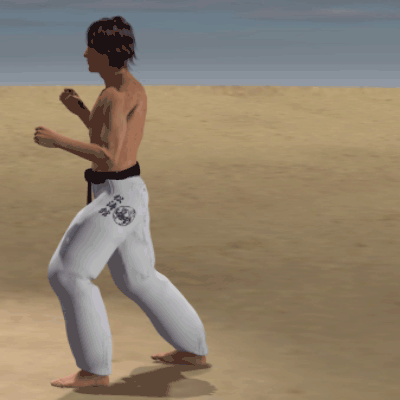 USHIRO GERI KEAGE