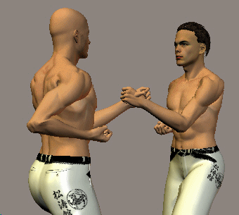 USHIRO MAWASHI TETSUI UCHI