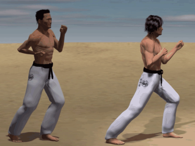 USHIRO MAWASHI TOBI GERI