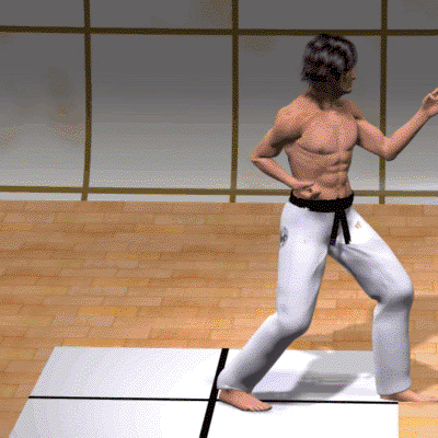 GIROS EN KARATE
