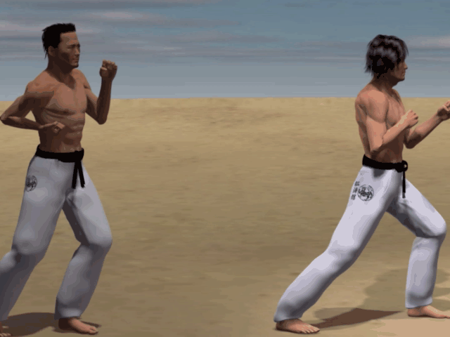USHIRO MAWASHI TOBI GERI