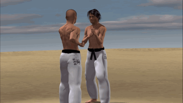 USHIRO URA MIKAZUKI GERI