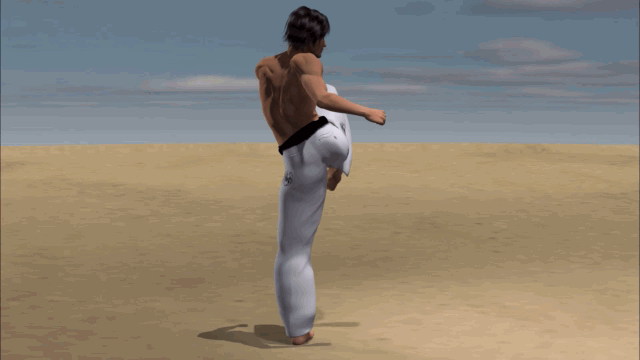 YOKO ASHI GERI
