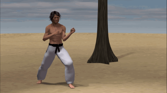 YOKO ASHI TOBI GERI