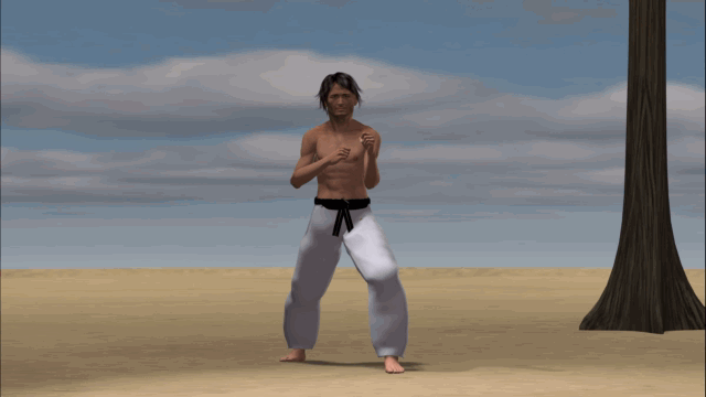 YOKO ASHI TOBI GERI