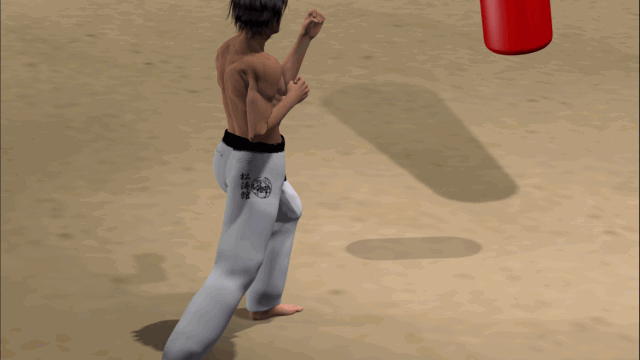 YOKO USHIRO ASHI GERI