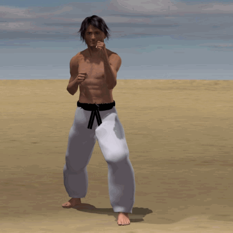 YOKO GERI