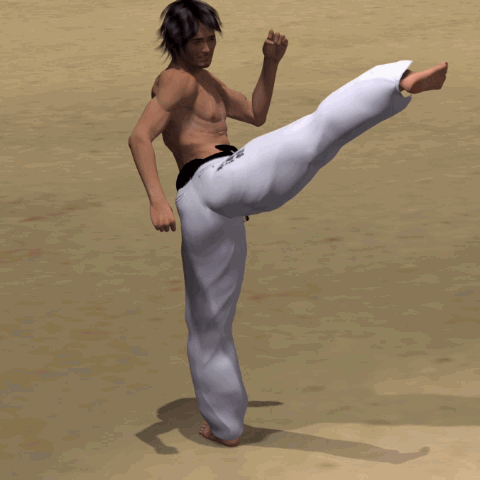 YOKO GERI