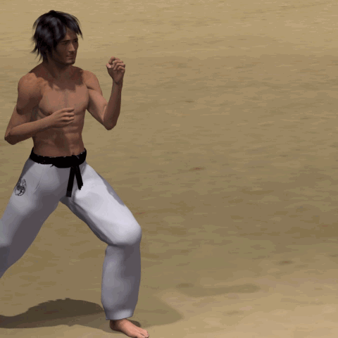 YOKO GERI