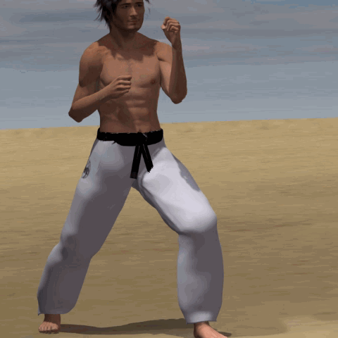 YOKO GERI