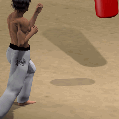 YOKO GERI