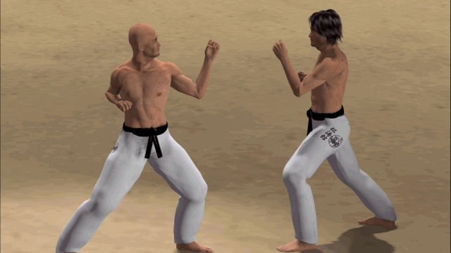 YOKO USHIRO ASHI GERI