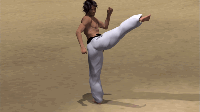 YOKO USHIRO ASHI GERI