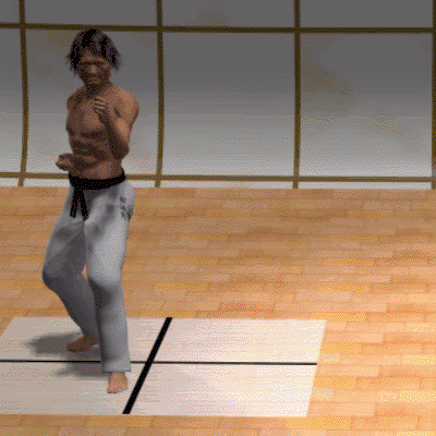 GIROS EN KARATE