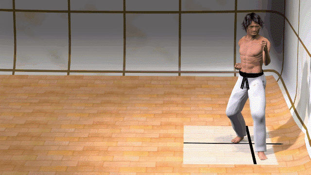 GIROS EN KARATE